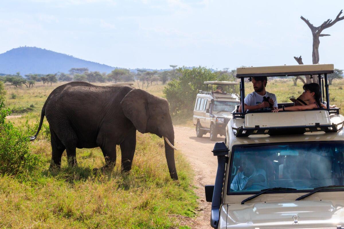 Arusha romantic hideaways